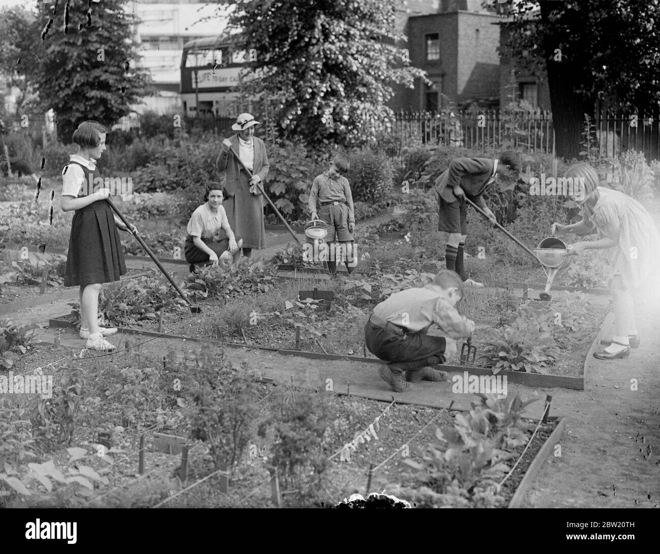 Les écoliers créent la beauté à partir d'un dépotoir. D'un taudis tawdry dépotoir caché dans une rue arrière de Camden Town les écoliers ont créé un joli jardin. La parcelle a été sécurisée pour eux par la London Children's Garden Guild et tout le travail a été fait dans leur temps libre. La Guilde prend en charge de nombreuses pièces du désert dans les quartiers les plus pauvres de Londres et les donne aux enfants pour qu'ils puissent passer leur temps loin des rues à apprendre l'art du jardinage. Des spectacles photo, les écoliers au travail dans le jardin. Ils ont produit à partir du tas de déchets de Camden Town. Banque D'Images