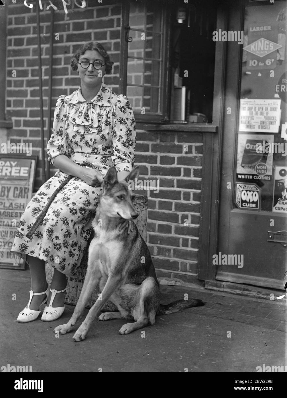 Mme Doris Healey avec le chien qui aide à effrayer les hommes qui se tiennent à l'extérieur du bureau de poste secondaire de Harmondsworth, Middlesex. Bluffant qu'elle avait sonné l'alarme la police qu'elle a fait peur aux raids armés qui sont entrés dans le magasin et ont demandé de l'argent. Heureusement, son chien a commencé à aboyer et une cliente est entrée dans le magasin et les deux hommes ont manqué dans une panique. Elle n'a travaillé au bureau de poste que les trois jours après avoir pris le relais de sa mère qui est malade. 10 septembre 1937 Banque D'Images