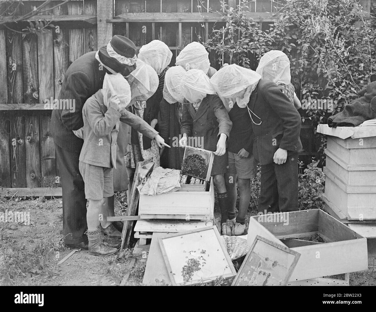 Une classe d'apiculture est une innovation à l'école en plein air de Wood Lane, Shepherd's Bush, à Londres. Les pupilles sont protégées par des masques faciaux de gaze et manipulées les abeilles sans crainte. La classe regardant comme une ruche est ouverte. La masse sombre au sommet du cadre est composée de cire et de miel sur lesquels vivent les abeilles pendant l'hiver. 1er septembre 1937 Banque D'Images