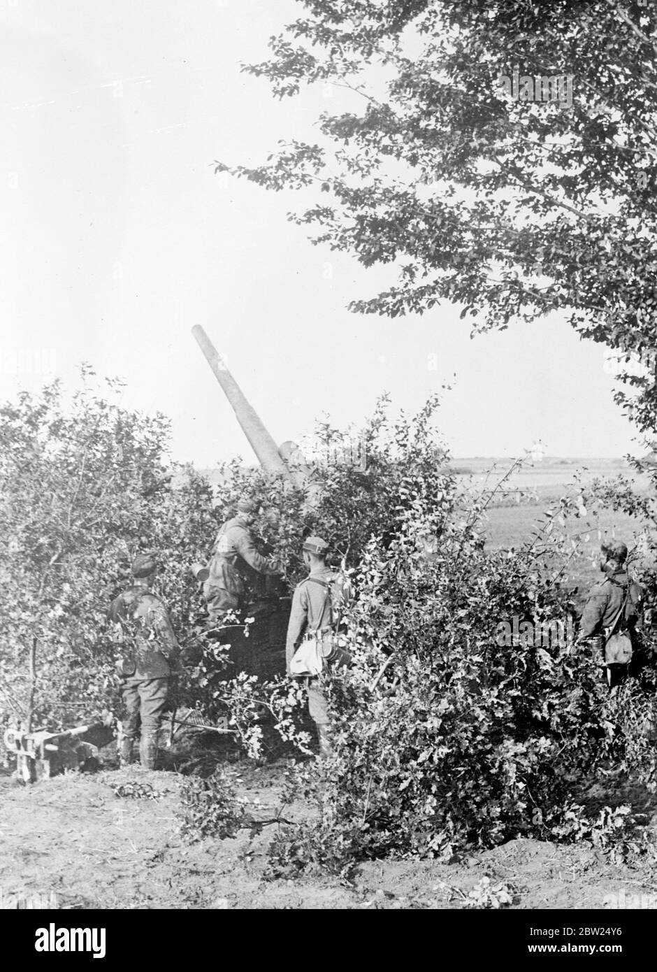 L'Allemagne dans un état de 'guerre' comme de grandes manoeuvres commencent, 750,000 hommes appelés aux couleurs. Les manœuvres à grande échelle qui ont suscité l'alarme dans de nombreuses régions d'Europe ont commencé en Allemagne et durera 10 semaines. Parmi les manœuvres dramatiques prises par les autorités, on compte l'appel aux couleurs de 750,000 réservistes pour la réquisition de nourriture, de chevaux et de véhicules automobiles. Les zones où l'exercice aura lieu seront pratiquement sous la loi martiale pendant la période des manoeuvres. Des spectacles de photos, un fusil camouflé pendant les manoeuvres allemandes. 15 août 1938 Banque D'Images