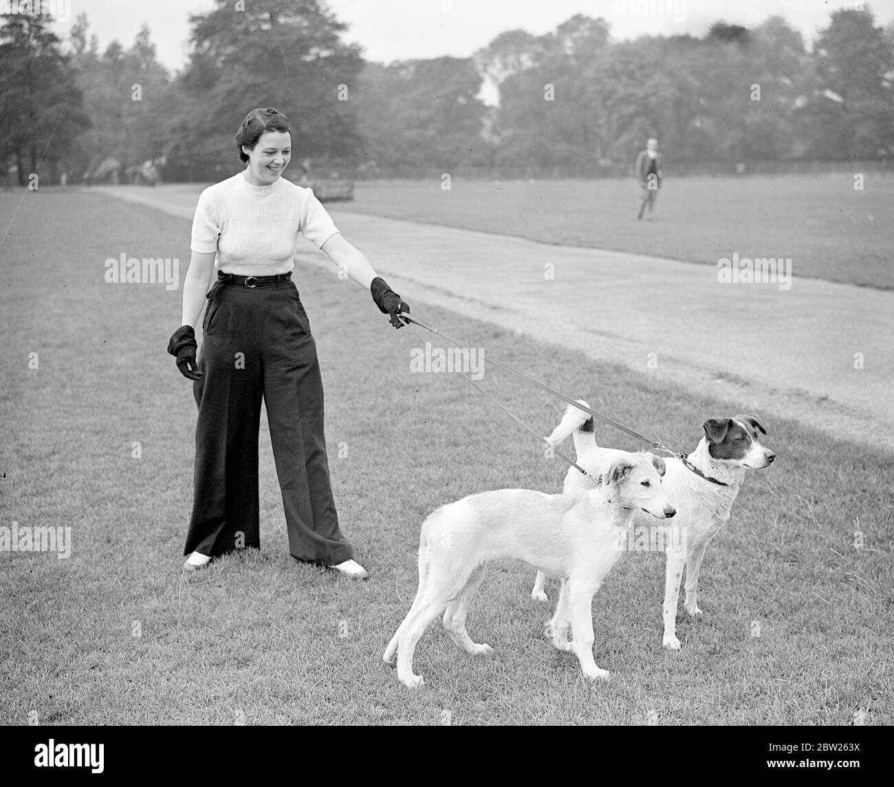 A partir de la Chine jusqu'au parc Regents. Mme Grant Jones , portant un pantalon bleu marine et un pull blanc pendant qu'elle exerce ses chiens à Regent's Park, Londres. Le chien mongrel de droite était astray, ce que Mme Grant Jones a trouvé errant en Chine est ramenée avec elle. L'autre chien est un chiot de trois mois. 15 août 1938 Banque D'Images