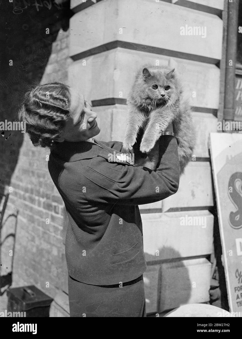 Mlle Nan Parsons avec le prince étudiant de Mme King's Blue Persian. De jeunes aristocrates du monde du chat sont exposés au spectacle du Kensington Kitten Club, qui est en cours à Knightsbridge. 14 juillet 1937. Banque D'Images