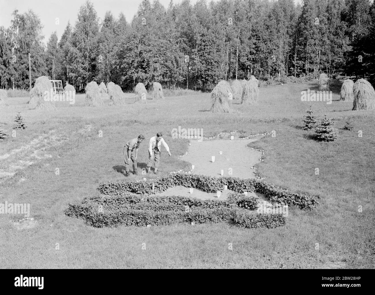 Les plus grands forestiers du monde. Finlande - vie quotidienne finlandaise Académie forestière de Korkeakoski 1939 la carte de la Finlande, dans les arbres. M. Per Tertti, directeur de l'Académie, explique la carte unique qui illustre la croissance des arbres en Finlande. Du sud au nord, l'aspect prédominant des arbres est le chêne, la cendre, l'érable, la chaux, le bouleau. Cet ordre est sans distinction des sapins, des pins et des spruces qui se trouvent partout dans le pays à partir d'une série ces hommes ont construit la ligne Mannerheim - la zone finlandaise de fortifications frontières a été conçue et construite entièrement par le peuple finlandais. Banque D'Images