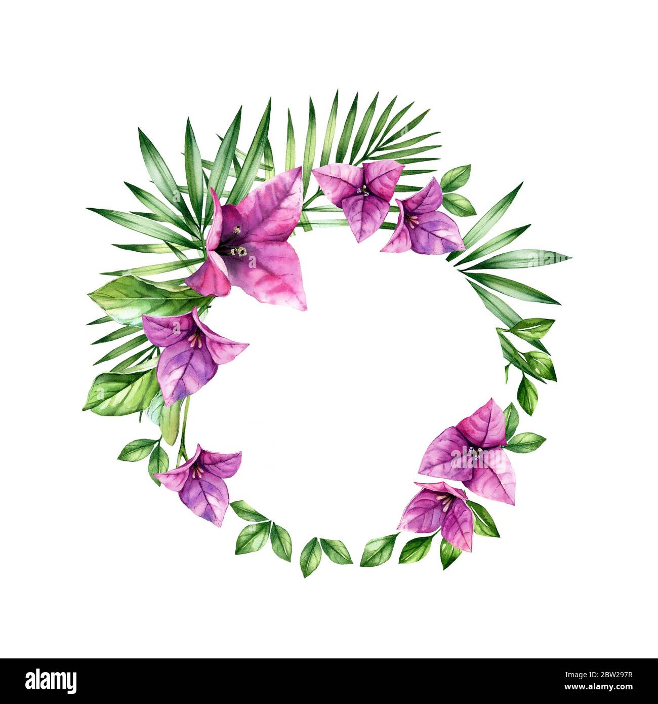 Couronne fleurie aquarelle. Cadre arrondi et emplacement pour le texte. Fleurs de bougainvilliers violets. Modèle de bannière tropicale isolé sur blanc pour logo, mariage Banque D'Images