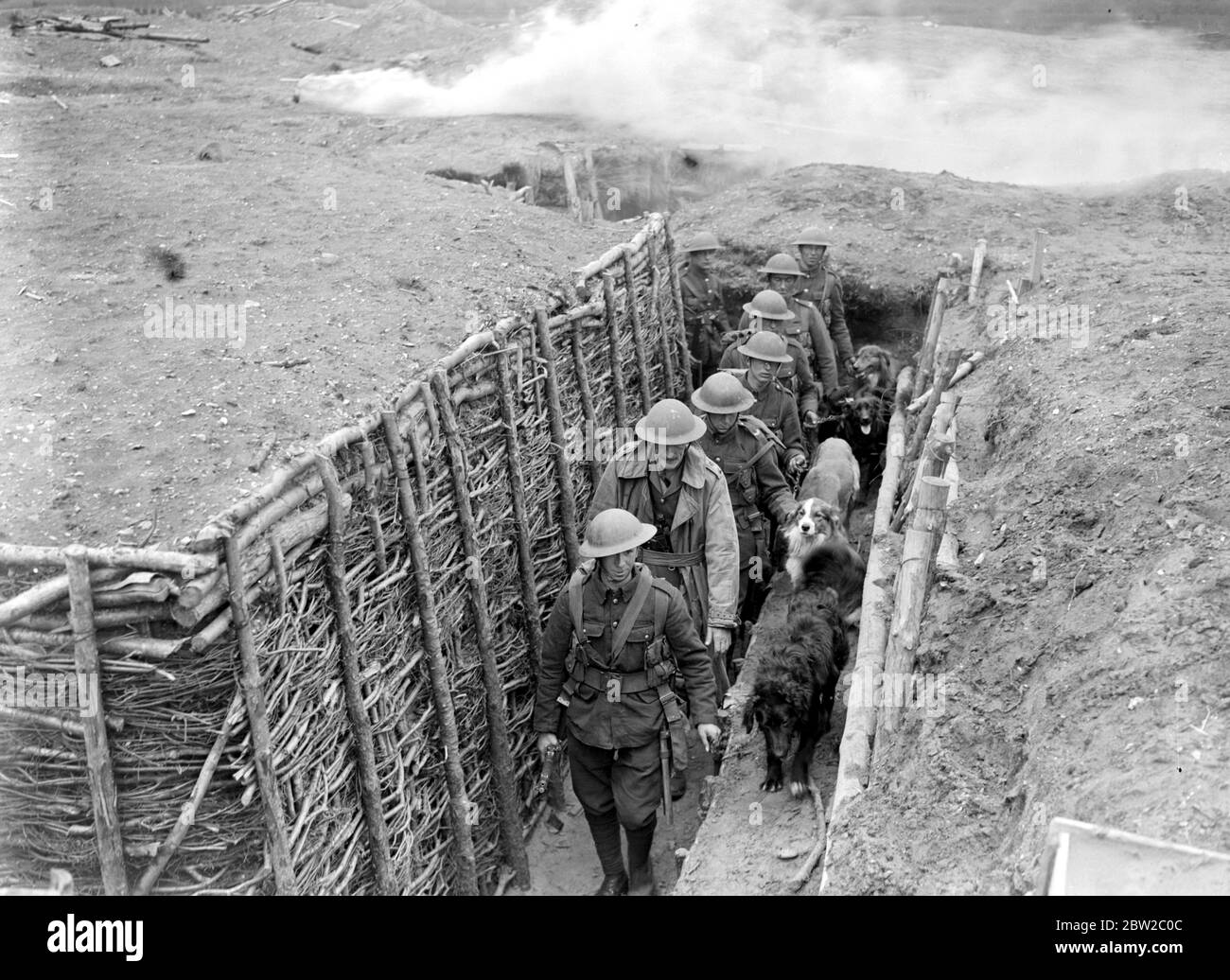 Dressage de chiens à l'école d'entraînement de chiens de guerre de Lyndhurst. Prendre des chiens dans les tranchées. 26 avril 1919 Banque D'Images