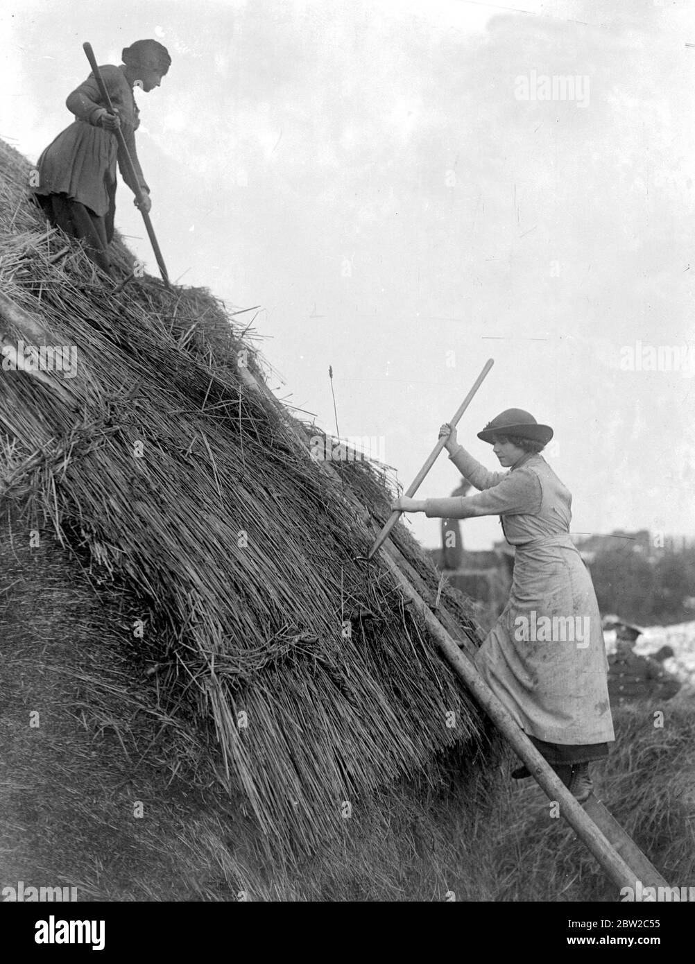 Les femmes aident A.S.C. Service des fourrages, Shepperton. 1914-1918 Banque D'Images