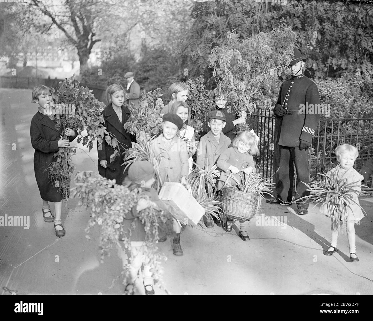 Il y a eu une ruée d'enfants au London County Councils Park pour la distribution annuelle des usines excédentaires. Spectacles photo : les enfants rentrent avec les trophées de Kennington Park. 15 octobre 1938 Banque D'Images