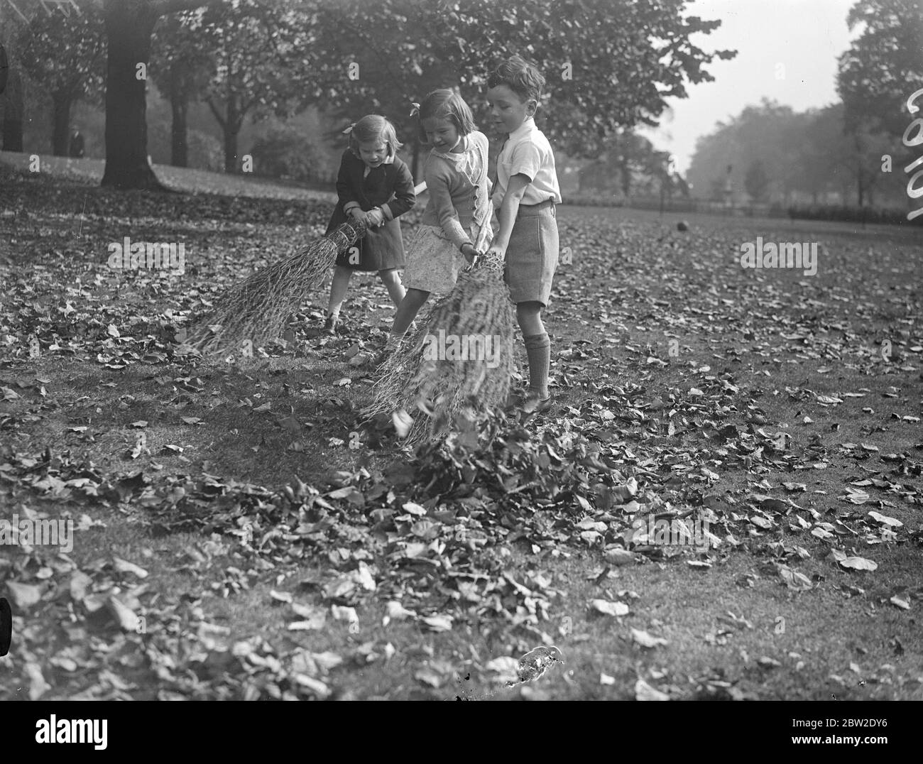 Trois jeunes sœurs de Hyde Park se sont établies pour travailler avec des balais pour balayer le tapis des feuilles d'automne. 9 octobre 1937. Banque D'Images