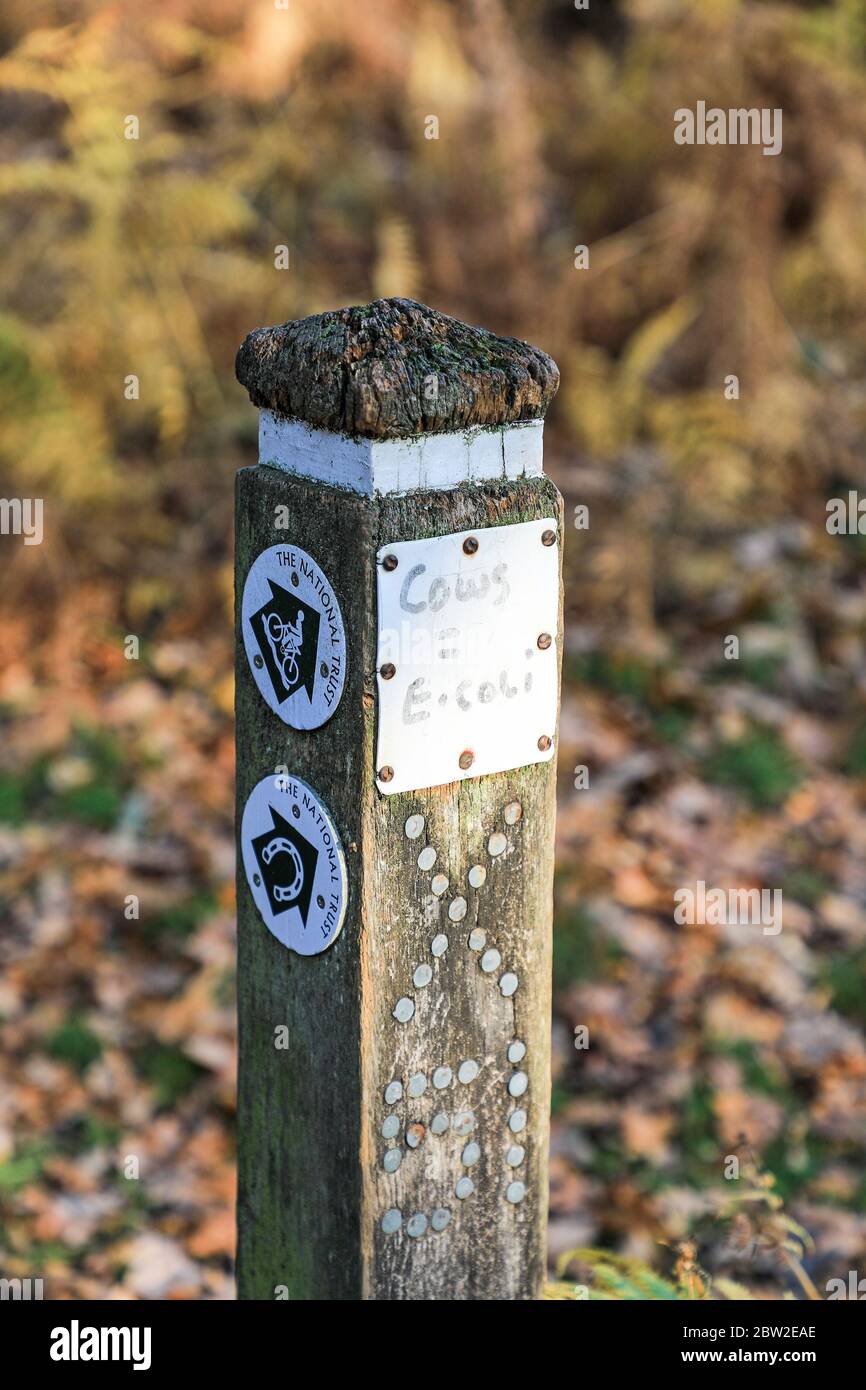 Graffiti écrit sur un marqueur de chemin de pied public disant 'Cows = e-coli' Downs Banks, Stone, Staffordshire, Angleterre, Royaume-Uni Banque D'Images