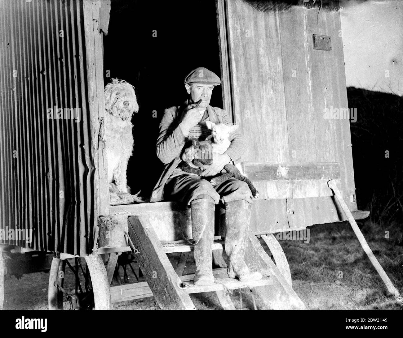 Temps d'enrobage. Bergers campés par leurs troupeaux; beaucoup utilisaient des chiens de berger anglais anciens. 1935 Banque D'Images