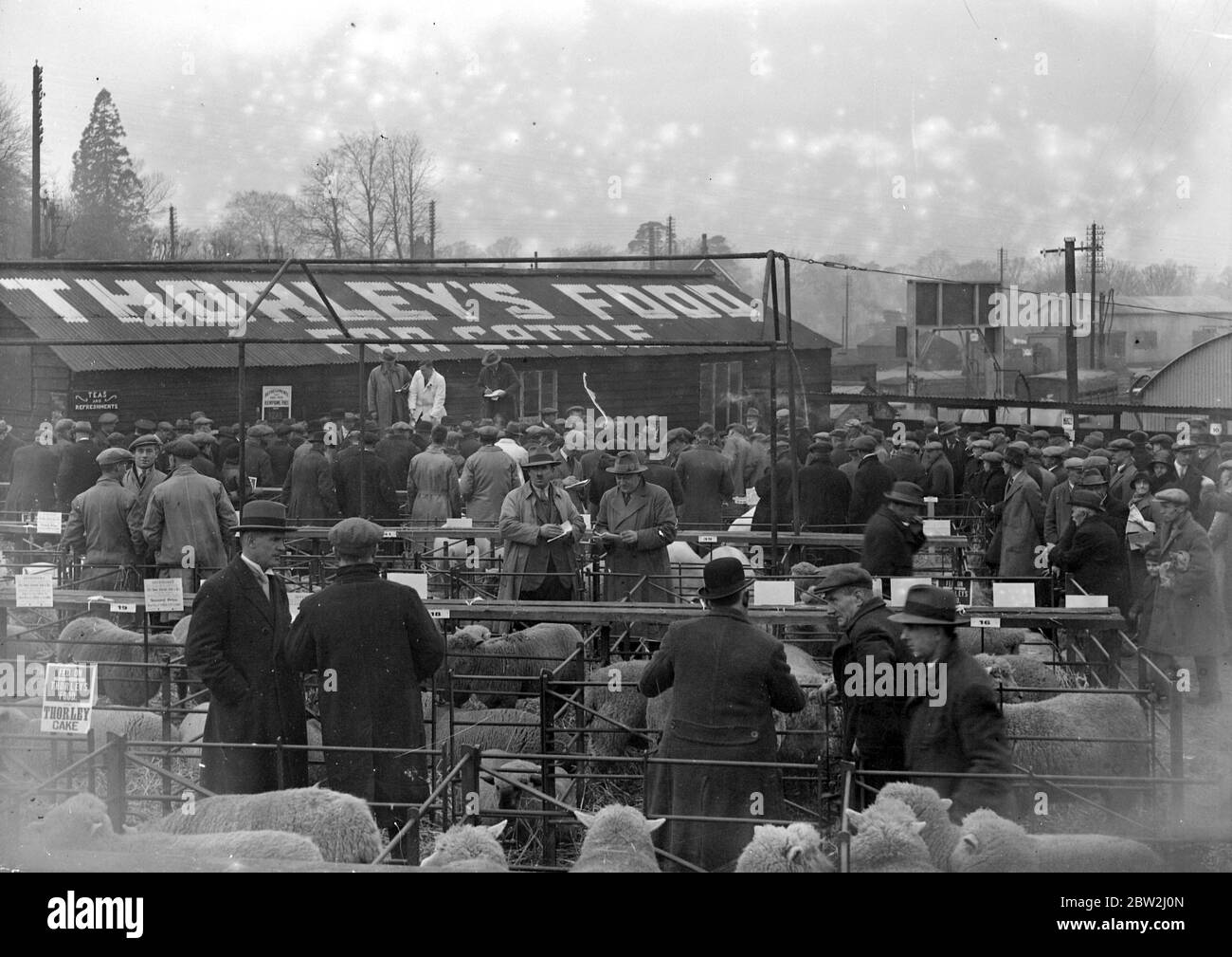 Marché de Noël de Sevenoaks. 1933 Banque D'Images