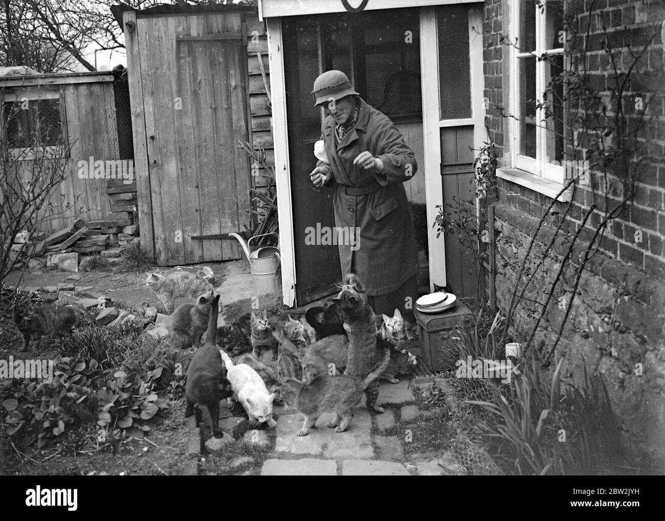 Madame Nancy Rutherford à l'extérieur de la maison nourrissant ses 15+ chats. 1934 Banque D'Images