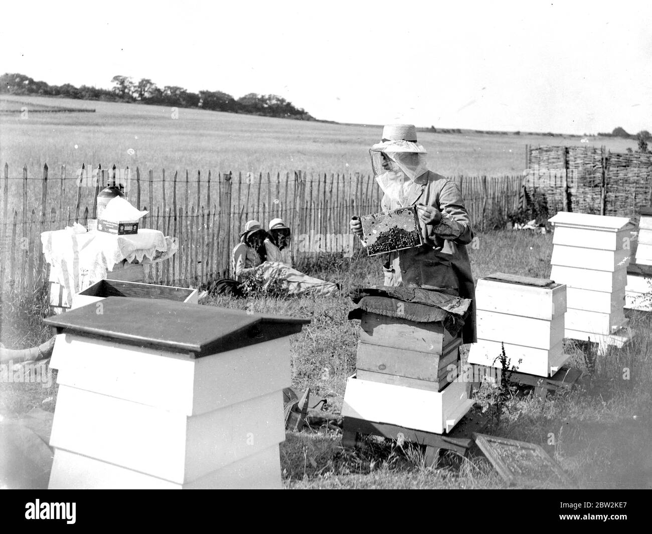 Swanley College filles à l'éducation d'abeille. 1934 Banque D'Images