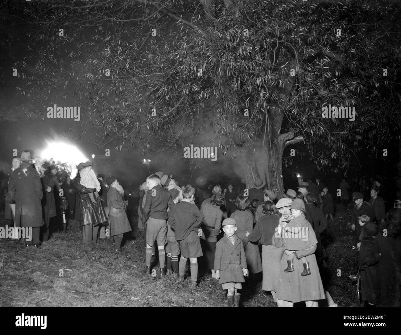 Feu d'arbre à Chislehurst, Kent. 5 novembre 1934 Banque D'Images