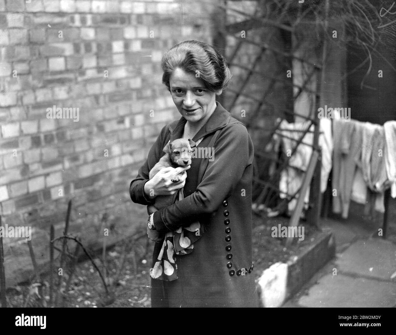 Mme Ellen Wilkinson, députée de Middlesborough, avec un chiot présenté par un donneur inconnu. 7 avril 1925 Banque D'Images