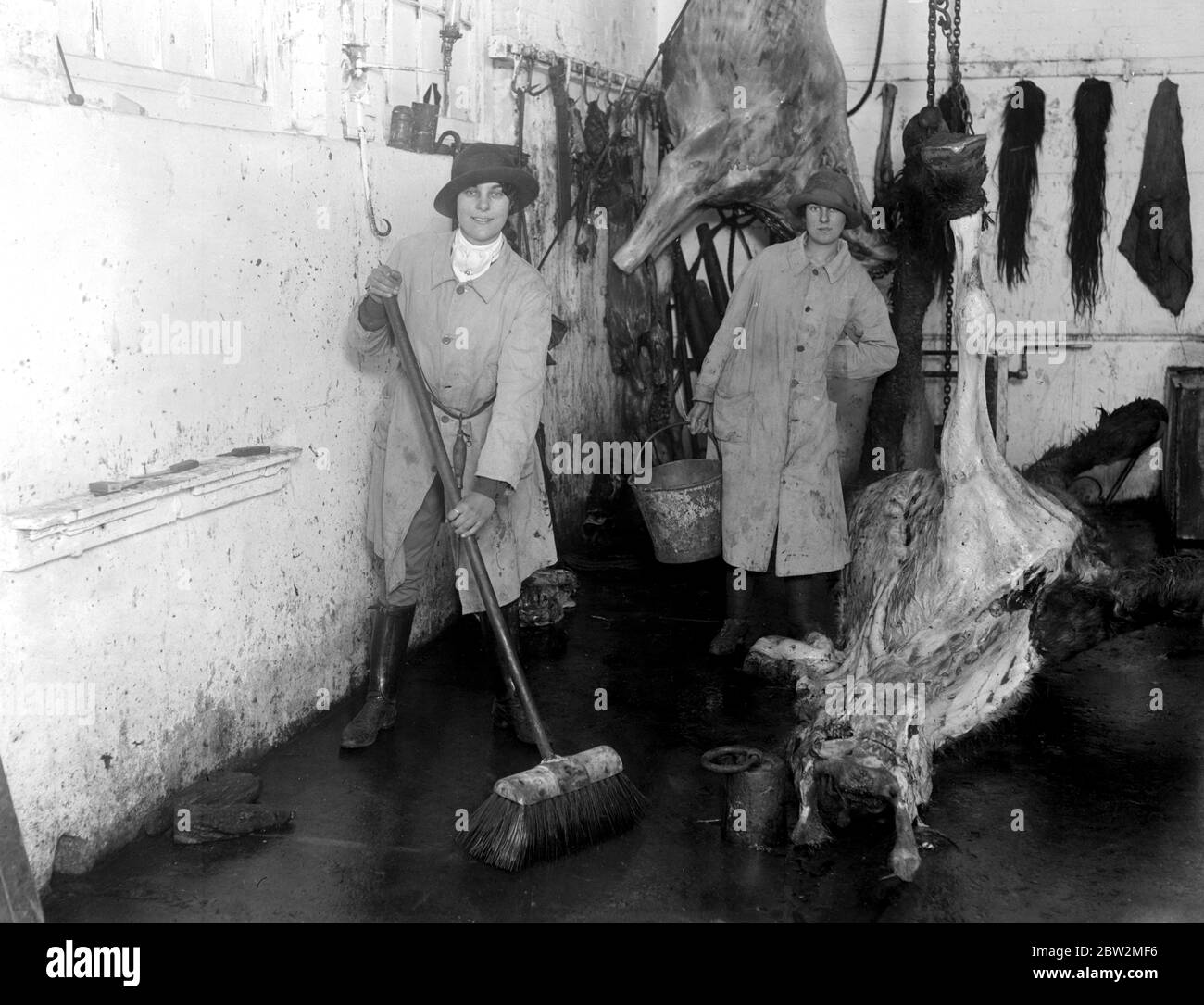 Bouchers de viande de cheval de fille à Chelmsford. 26 février 1918. Banque D'Images