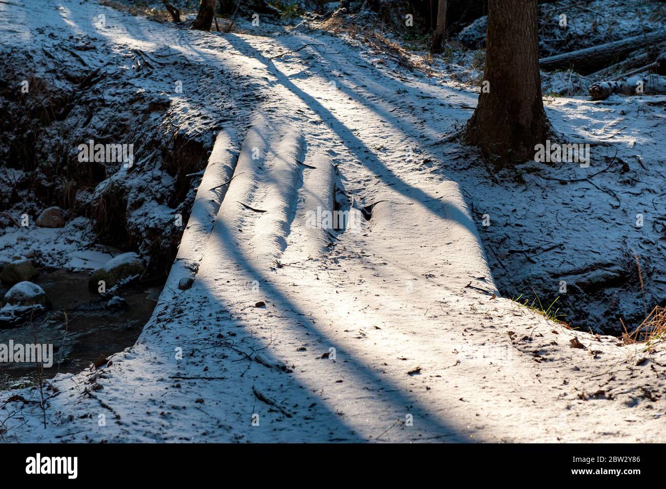 pont en bois couvert de neige dans la forêt en hiver Banque D'Images