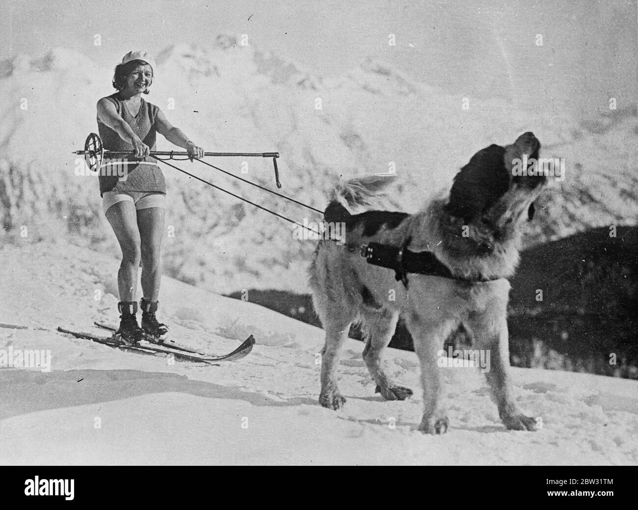 Une main aimace à St Moritz . Un amateur de sports d'hiver à St Moritz utilise son chien St Bernard pour l'attirer dans la neige pendant une course de ski . . 11 février 1932 Banque D'Images