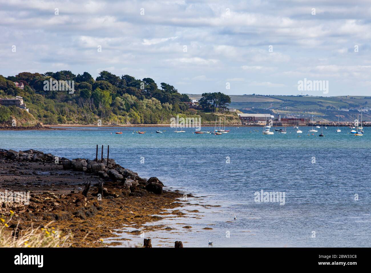 Une vue magnifique sur la baie de Weymouth avec de nombreux bateaux amarrés, y compris des bateaux à voile, des bateaux à rames et des bateaux à coque Banque D'Images