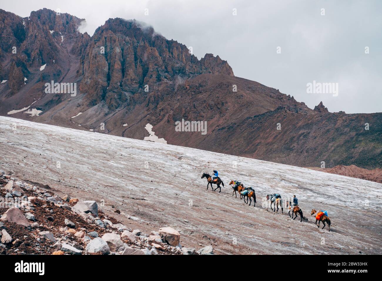 Une caravane de chevaux transportant des provisions escaladez le glacier sur le mont Kazbek, en Géorgie Banque D'Images