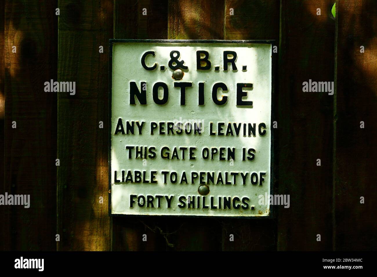 Fausse / imitation de chemin de fer irlandais sur une clôture en bois, Bullingstone, près de Speldhurst, Kent, Angleterre Banque D'Images