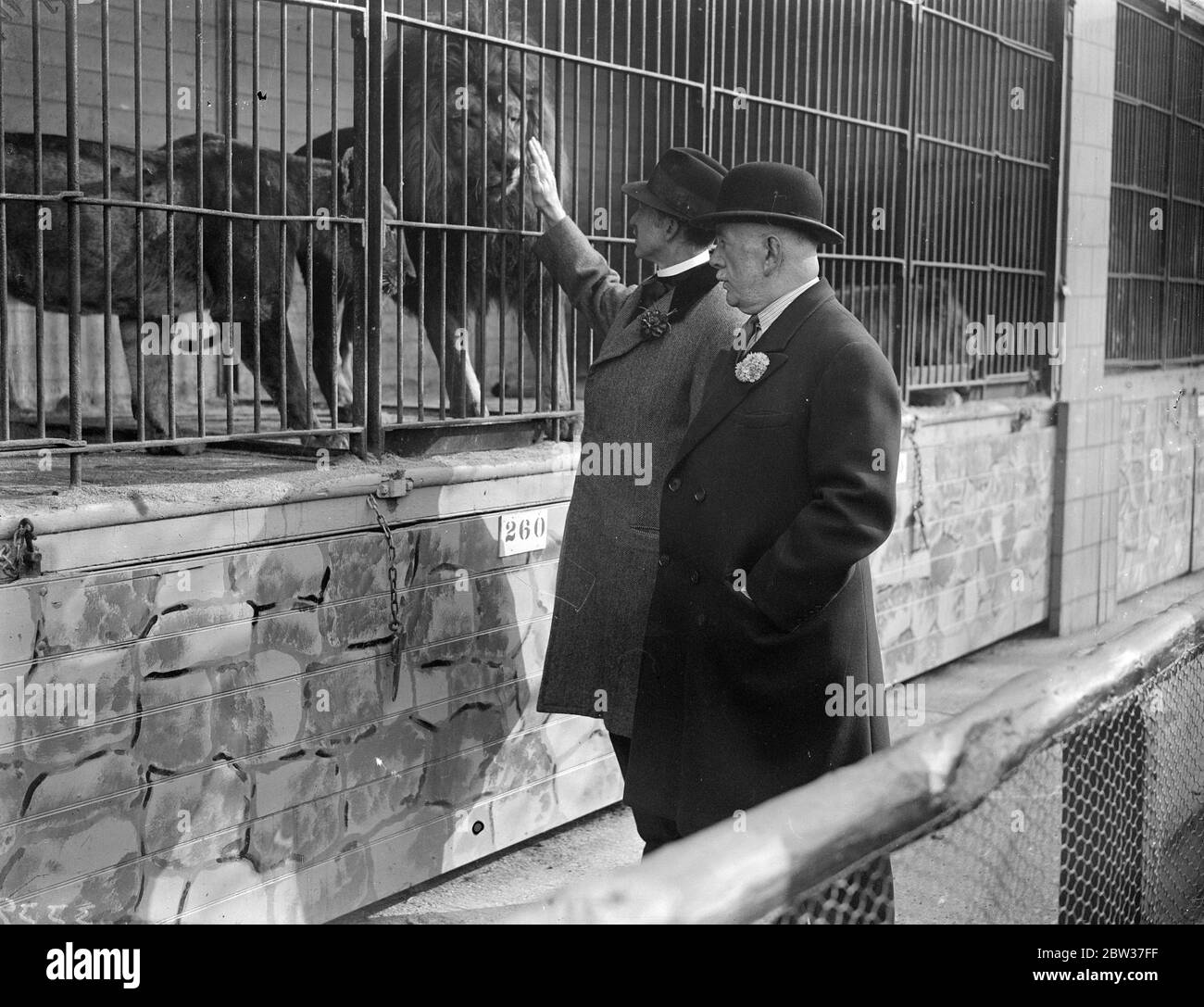 Bertram Mills ouvre le nouveau zoo de Maidstone. Le parc zoologique de Maidstone, propriété de M. et Mme G Tyrwhett Drake , a été officiellement inauguré par M. Bertram Mills , le célèbre propriétaire du cirque . Quatorze lions ainsi que des tigres , puma ' s , ours , loups , hyènes , chameaux , singes et autres animaux sont en exposition . M. Bertram Mills ( à droite ) M. Tyrwhett Drake ( à gauche ) et Mme Bertam Mills ( tenant le lapin ) dans le coin des enfants . 26 mars 1934 Banque D'Images