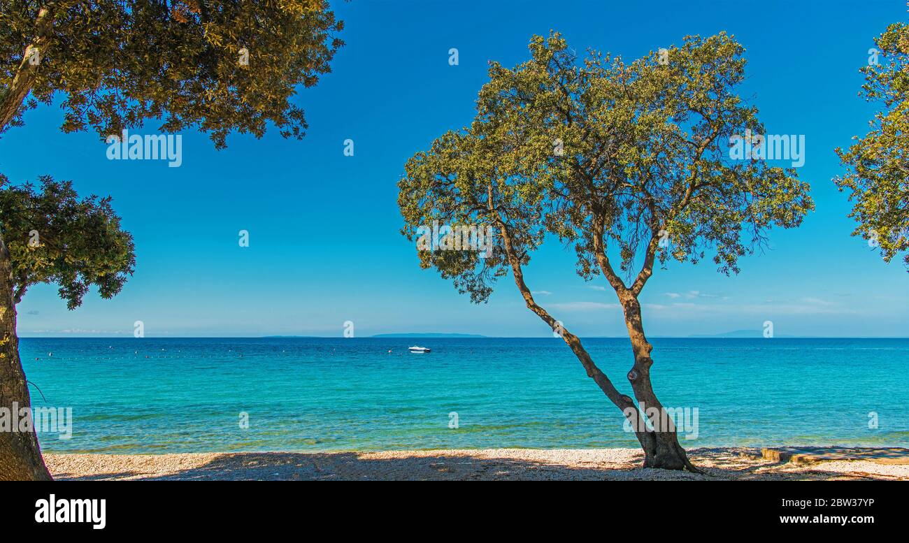 Pittoresque Sunny Croate Sea Front. Nature de la mer Méditerranée. Rocky Beach et Turquoise Sea Water. Destination européenne d'été. Région de Novalja, Croatie. Banque D'Images