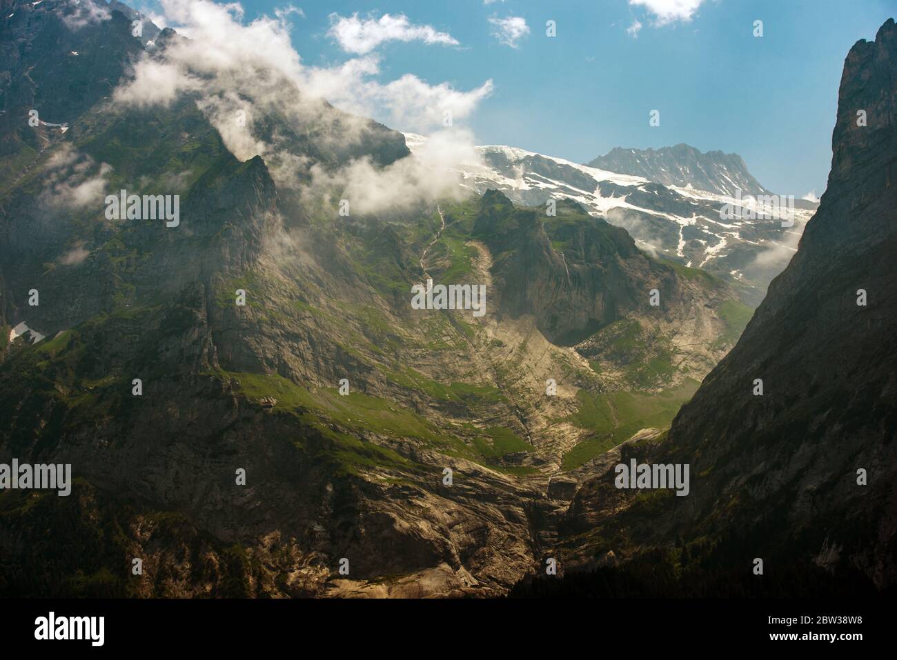Paysage alpin Suisse pittoresque. Région de Jungfrau. Paysage de montagne d'été. Banque D'Images
