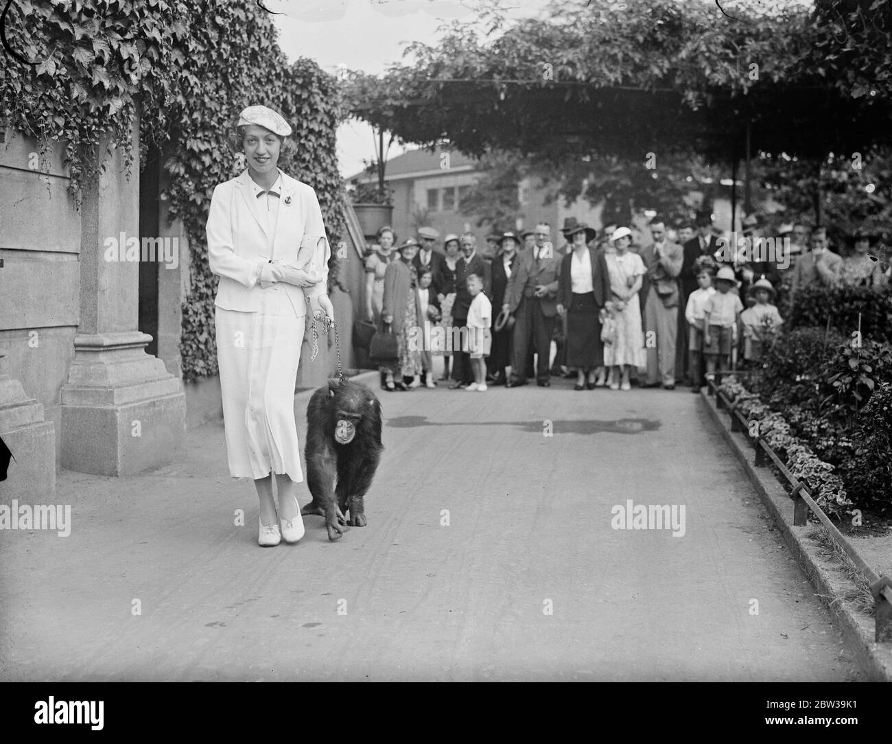 Famus comédienne hongroise de comédie musicale à Londres . La belle Lillian Starr , célèbre actrice comédie musicale de Budapest visitant le chimpanzé au zoo de Londres . 24 juillet 1935 Banque D'Images