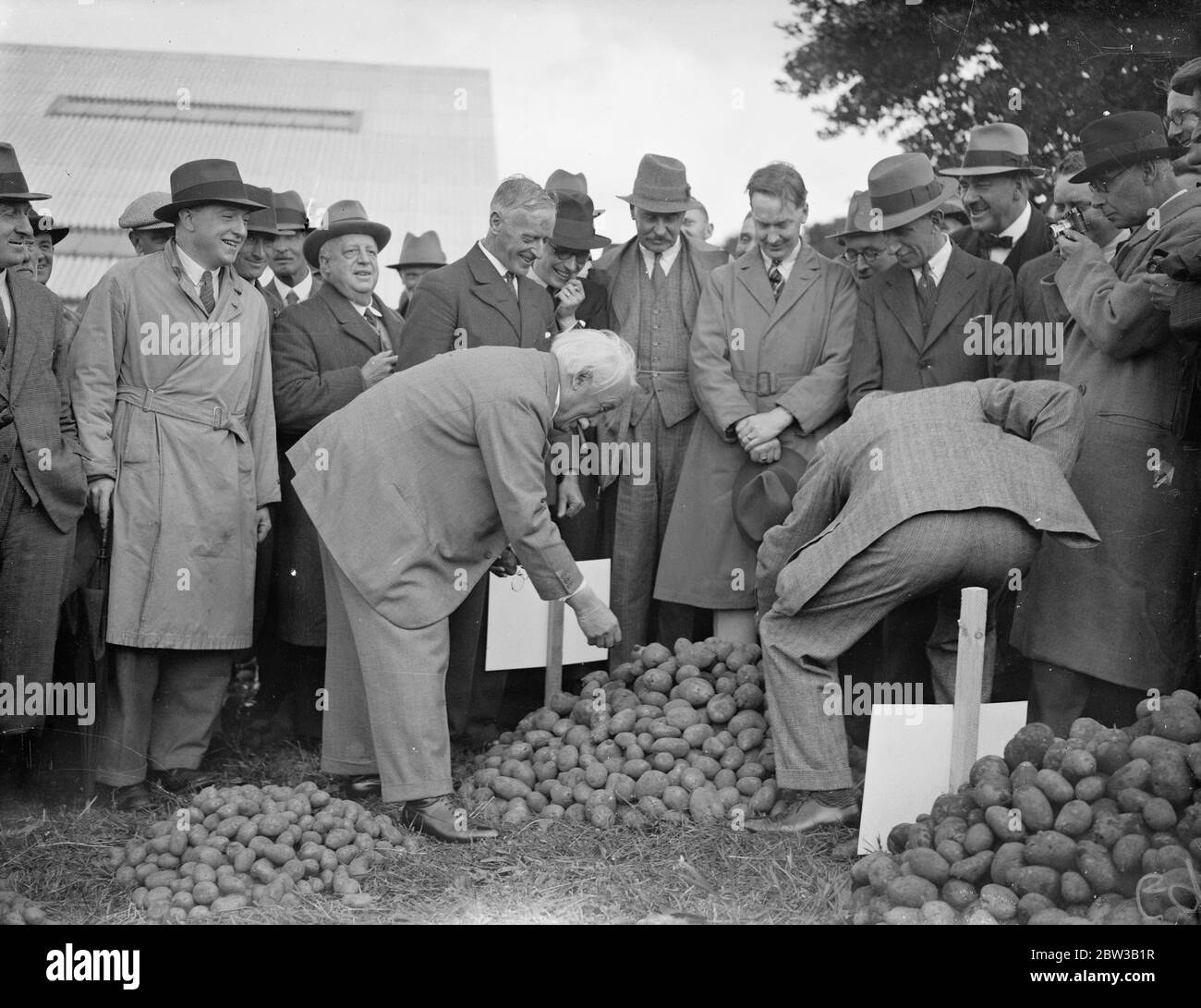 M. David Lloyd George , ancien premier ministre de la guerre et maintenant gentleman Farmer , est montré en train de dijouer une partie de sa culture de pommes de terre dans sa ferme de Churt , Surrey . 4 octobre 1934 Banque D'Images