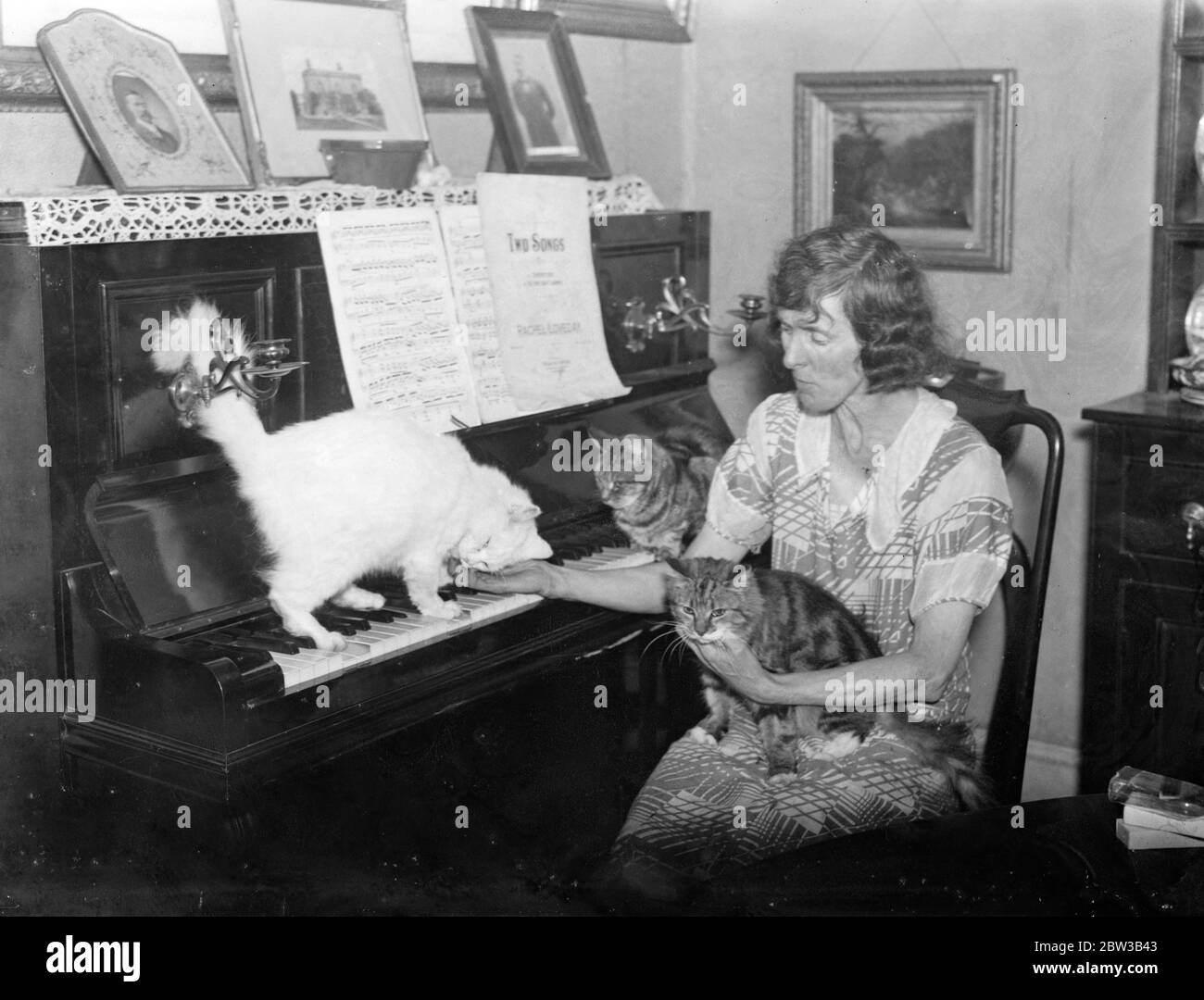 Mlle Loveday avec une partie de sa famille de chats . 5 octobre 1934 . Banque D'Images