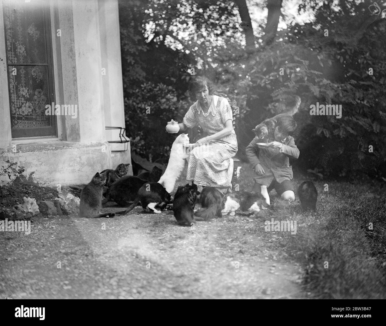 Mlle Loveday dans son jardin avec une partie de sa famille de chats . 5 octobre 1934 . Banque D'Images