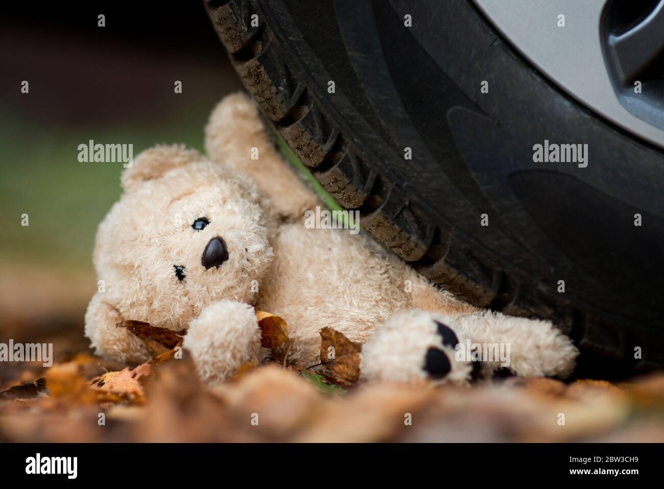 ours en peluche écrasé par une roue de voiture Photo Stock - Alamy