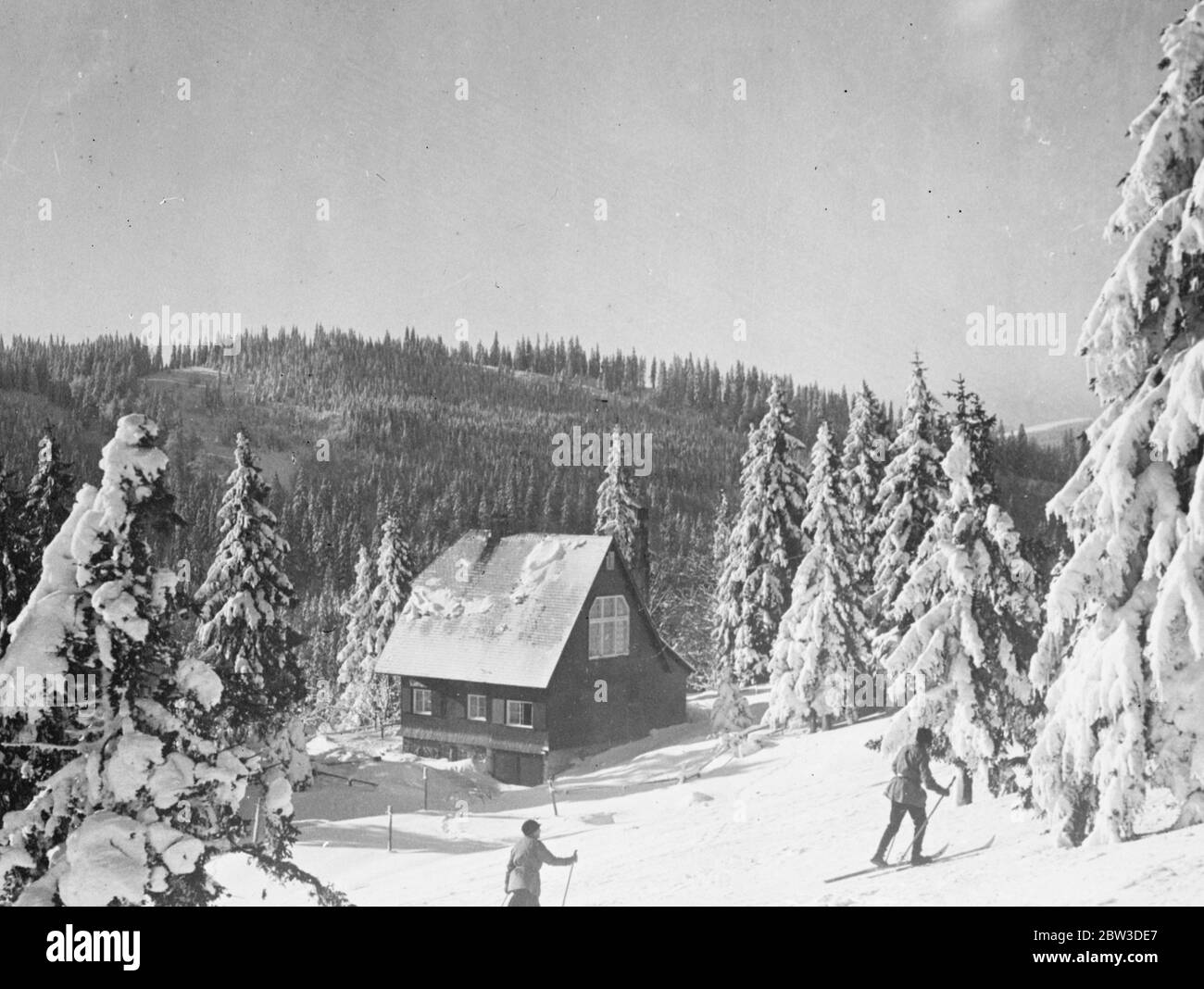 Le sport parmi les arbres de noël . Skieuses parmi les premières enneigées des Alpes baveriennes . 7 novembre 1935 Banque D'Images