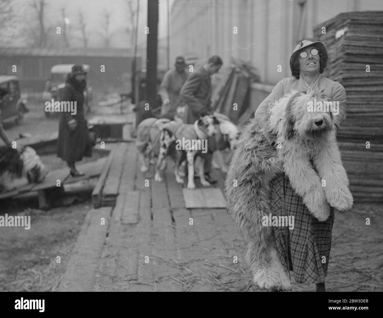 Miss I Webster portant son ancien Berger anglais Sir John Marksman dans le spectacle au Crystal Palace . 7 novembre 1935 Banque D'Images