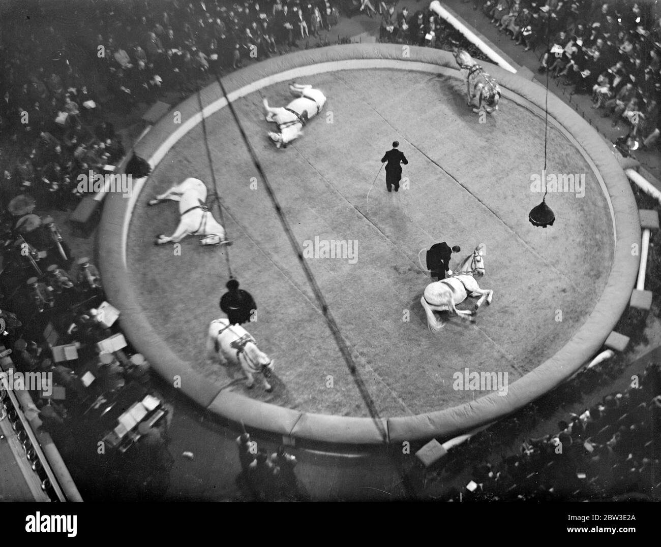 Vue sur le ring pendant le cirque du Crystal Palace . 27 décembre 1934 Banque D'Images