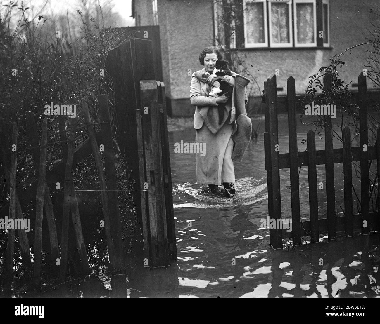Sauver le chat à Maidenhead . Une femme au foyer de Maidenhead sauvant son chat et quelques vêtements de sa maison inondée . 2 janvier 1936 Banque D'Images