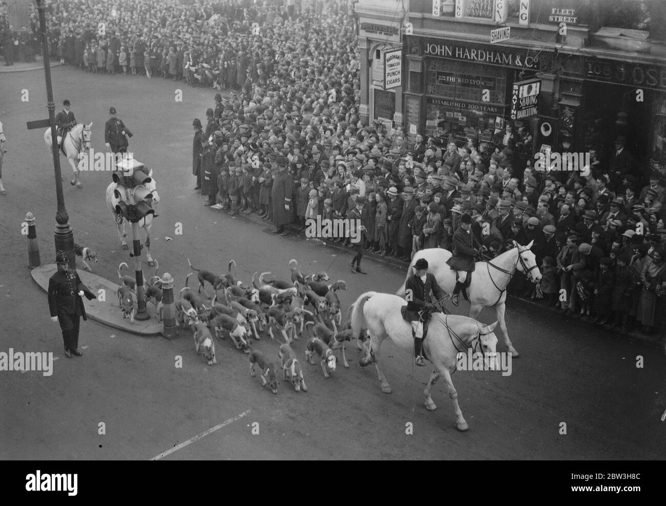Hounds dans le spectacle de Lord Mayor . Tableau Old Berkeley Hunt . 9 novembre 1935 Banque D'Images
