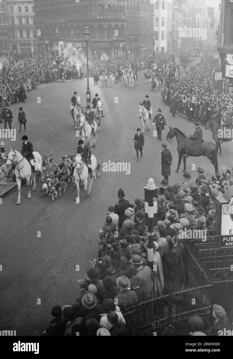 Hounds dans le spectacle de Lord Mayor . Tableau Old Berkeley Hunt . 9 novembre 1935 Banque D'Images