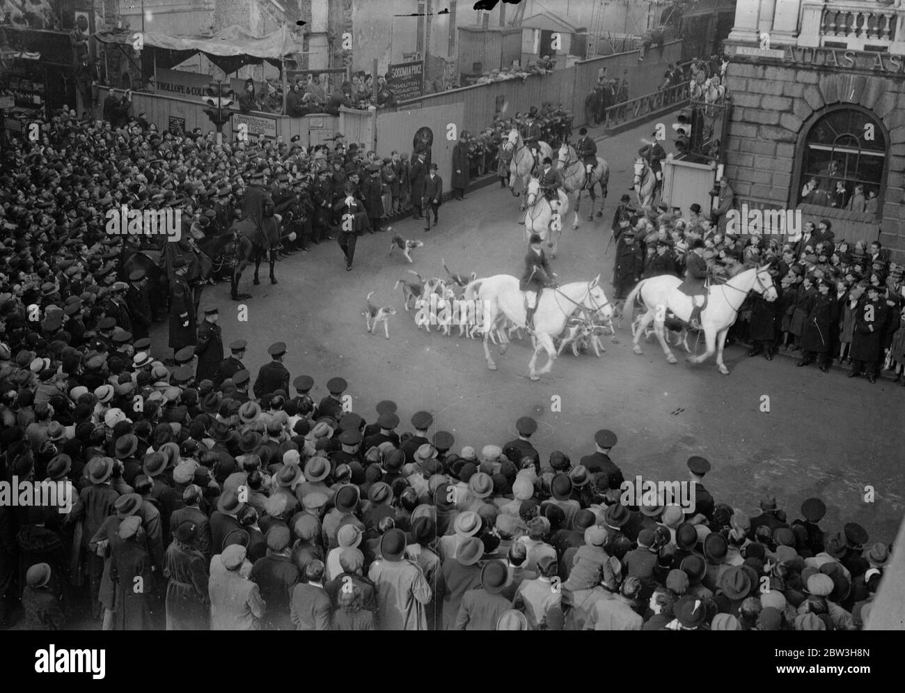 Hounds dans le spectacle de Lord Mayor . Tableau Old Berkeley Hunt . 9 novembre 1935 Banque D'Images