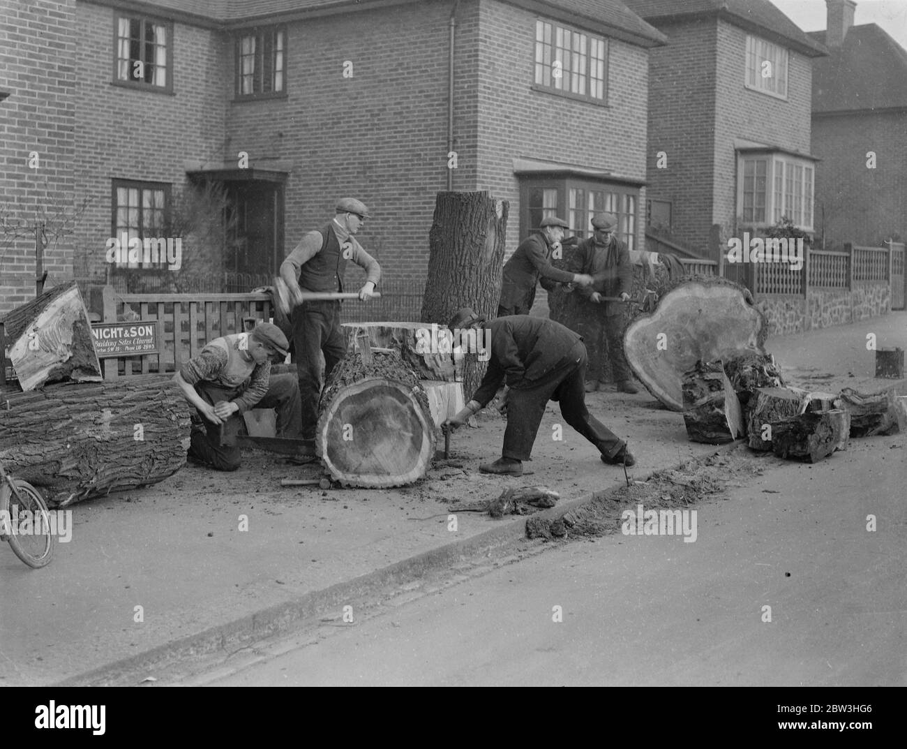 Des arbres Elm de trois cents ans sont abattus à Earlsfield . Les hommes qui coupage les arbres d'orme de 300 ans . 9 février 1935 Banque D'Images