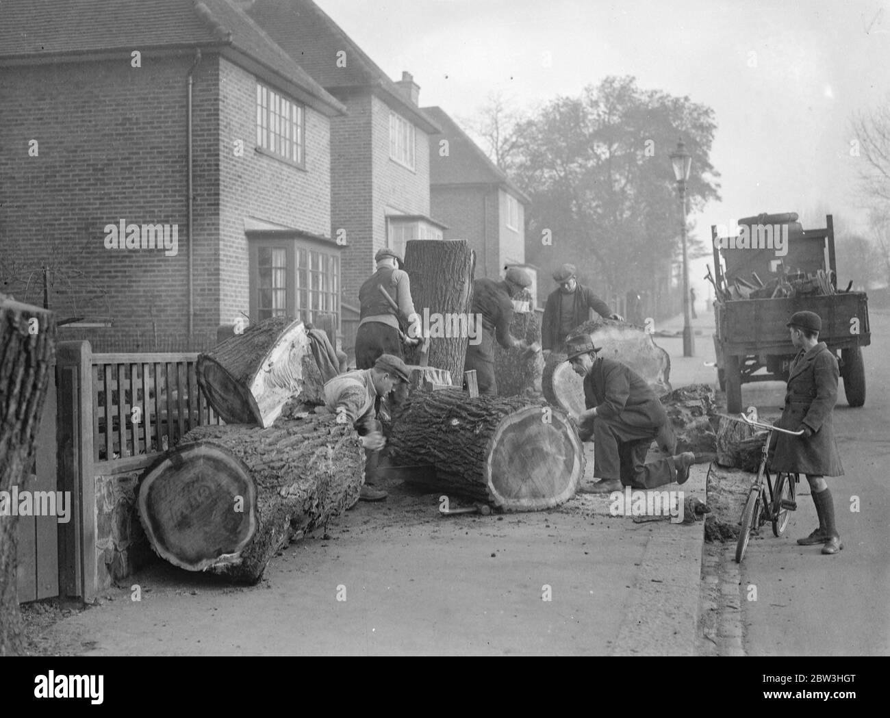 Des arbres Elm de trois cents ans sont abattus à Earlsfield . Ouvriers qui coupage les arbres d'orme de 300 ans . 9 février 1935 Banque D'Images