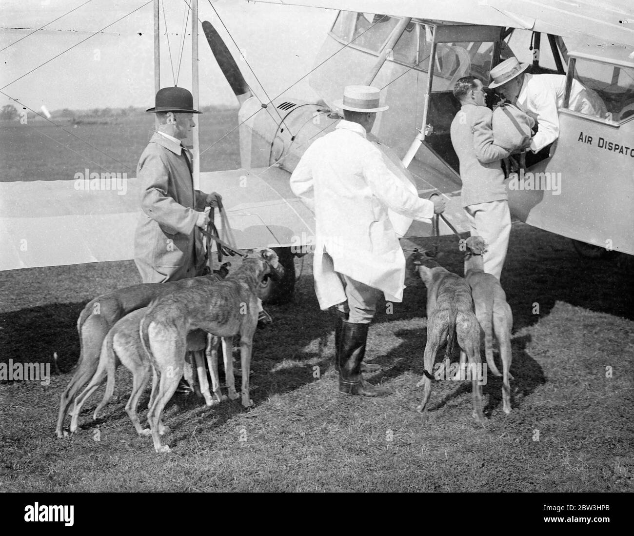 Des lévriers envoyés aux courses par avion pour la première fois . Pour courir à l'anniversaire de Manchester 12 pour la première fois, les lévriers sont allés par avion à une piste de course quand un certain nombre de chiens ont quitté l'aérodrome de Hafield , pour courir à la réunion du douzième anniversaire à Belle vue , Manchester , ce soir ( samedi ) . Vingt grayhounds , dont un certain nombre ont couru à la réunion d'ouverture de Belle vue il y a 12 ans , a laissé dans trois machines . Photospectacles , Grayhounds étant soulevé dans un de Havilland DH 89 Dragon Rapide pour Manchester . 25 juillet 1936 Banque D'Images