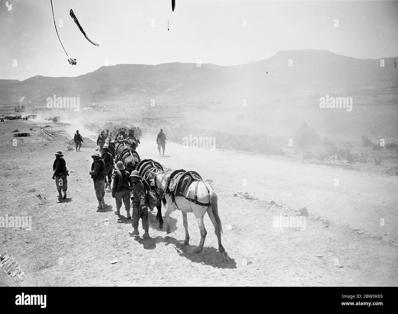 Train de mule marchant dans Adigrat dans des nuages de poussière . Mai 1936 Banque D'Images