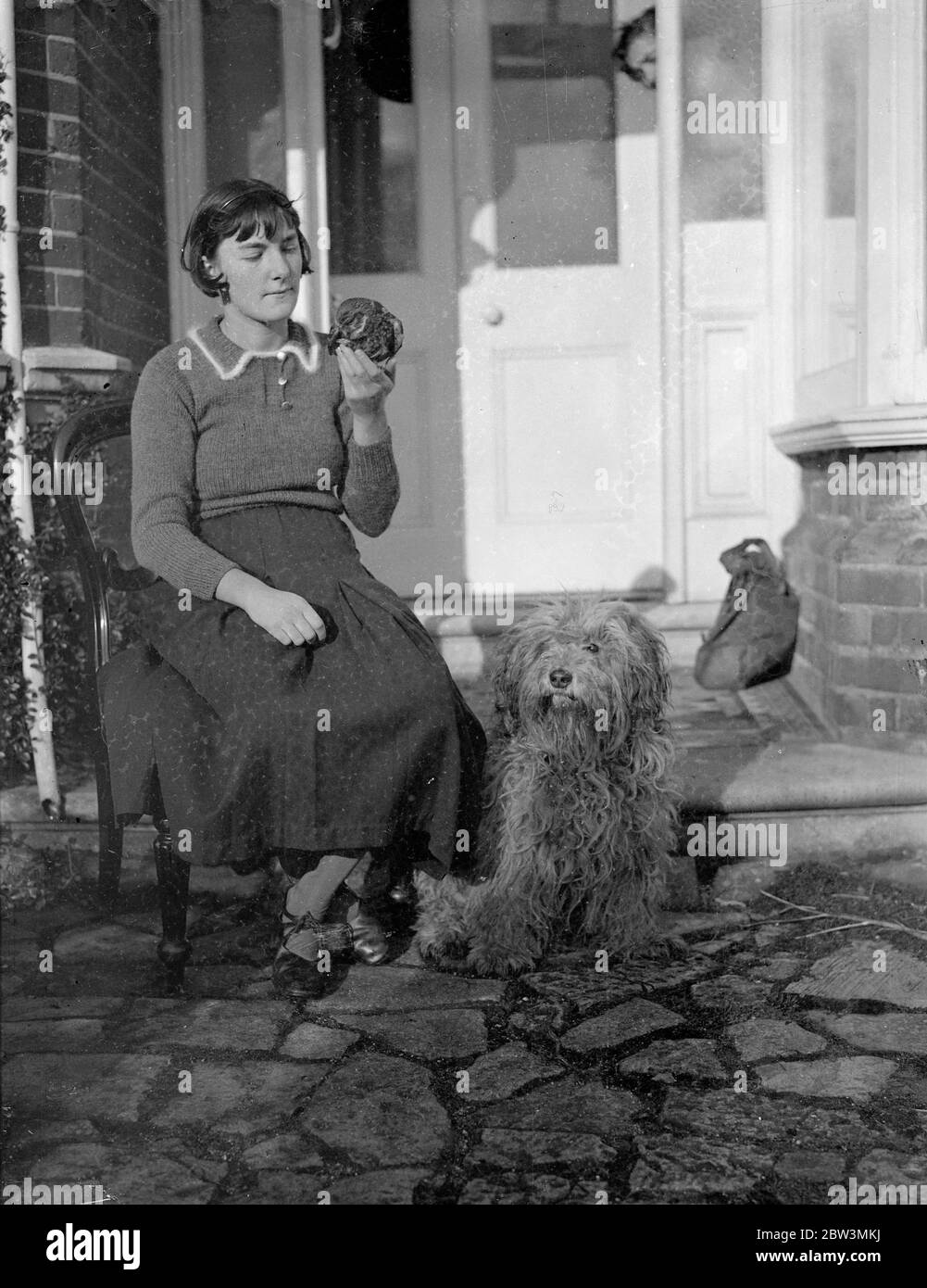 Hampshire fille réussit à garder la chouette comme animal de compagnie . Elle l'a sauvé de garçons espiègles - maintenant elle n'est jamais en retard pour l'école . Pete , la chouette brune , avec sa maîtresse , Jacqueline Veall , et Ruff , l'ancien chien de berger . 8 décembre 1935 Banque D'Images