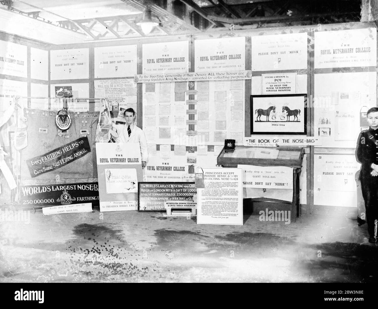 Commande privée . Collège vétérinaire . Banque D'Images