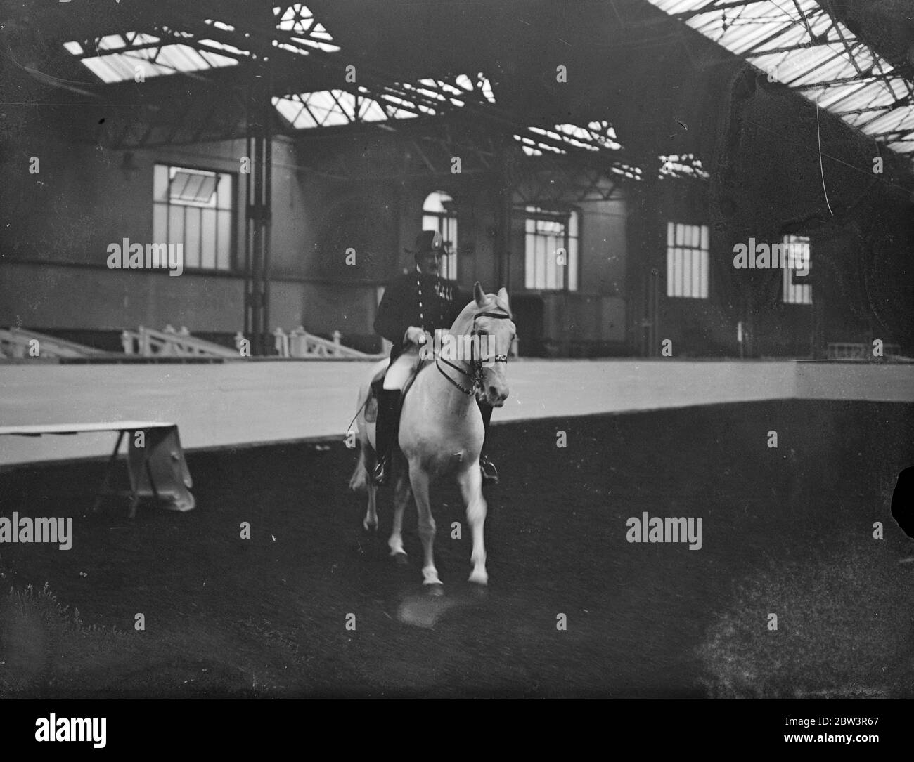 Chef de l'équipe viennoise pour le spectacle international de chevaux . Les cavaliers de l'école d'équitation impériale historique de Vienne ont répété le ballet équin à Olympia , Londres en préparation pour l'ouverture du salon international du cheval le 30 mai . Photos , le chef du comté Herr Zrust et son cheval Elizabeth . Il est le chef de l'équipe . 28 mai 1936 Banque D'Images