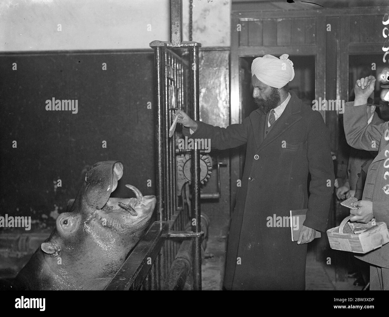 M. U S Ray, fonctionnaire indien du Punjab, visite le zoo de Londres pour connaître la gestion et l'alimentation des animaux et des oiseaux. Il doit devenir un surintendant de zoo lorsqu'il retourne en Inde. Expositions de photos : U S Ray Feeding Billy, l'hippopotame, au zoo de Londres 3 avril 1937 Banque D'Images