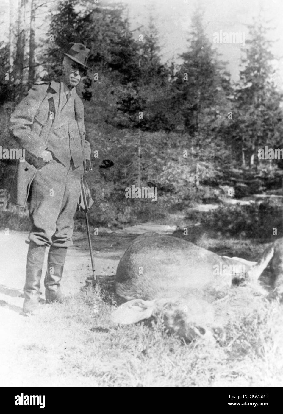 Le roi Gustav va chasser l'élan avec son compagnon anglais. Le roi Gustav , connu pour son énergie de sportif , s'est lancé dans une chasse réussie à l'élan en Suède . Photos , le roi Gustav et son ' sac ' . 19 septembre 1936 Banque D'Images