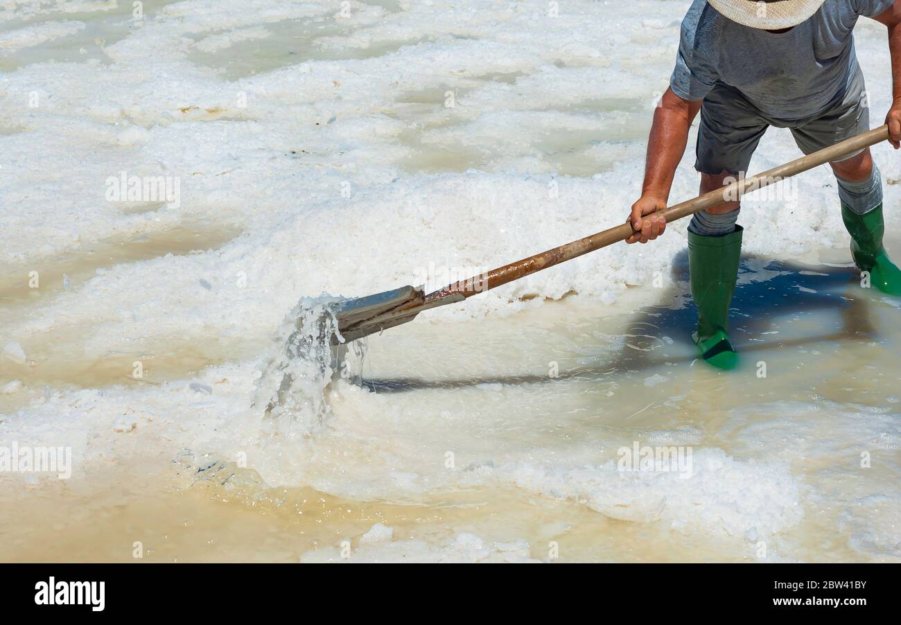 Trapani, le 13 août 2016 - Italie : les travailleurs à la pelle le sel cristallise hors de la terre ferme en sel , rempli de sel Naturel de la mer. Banque D'Images